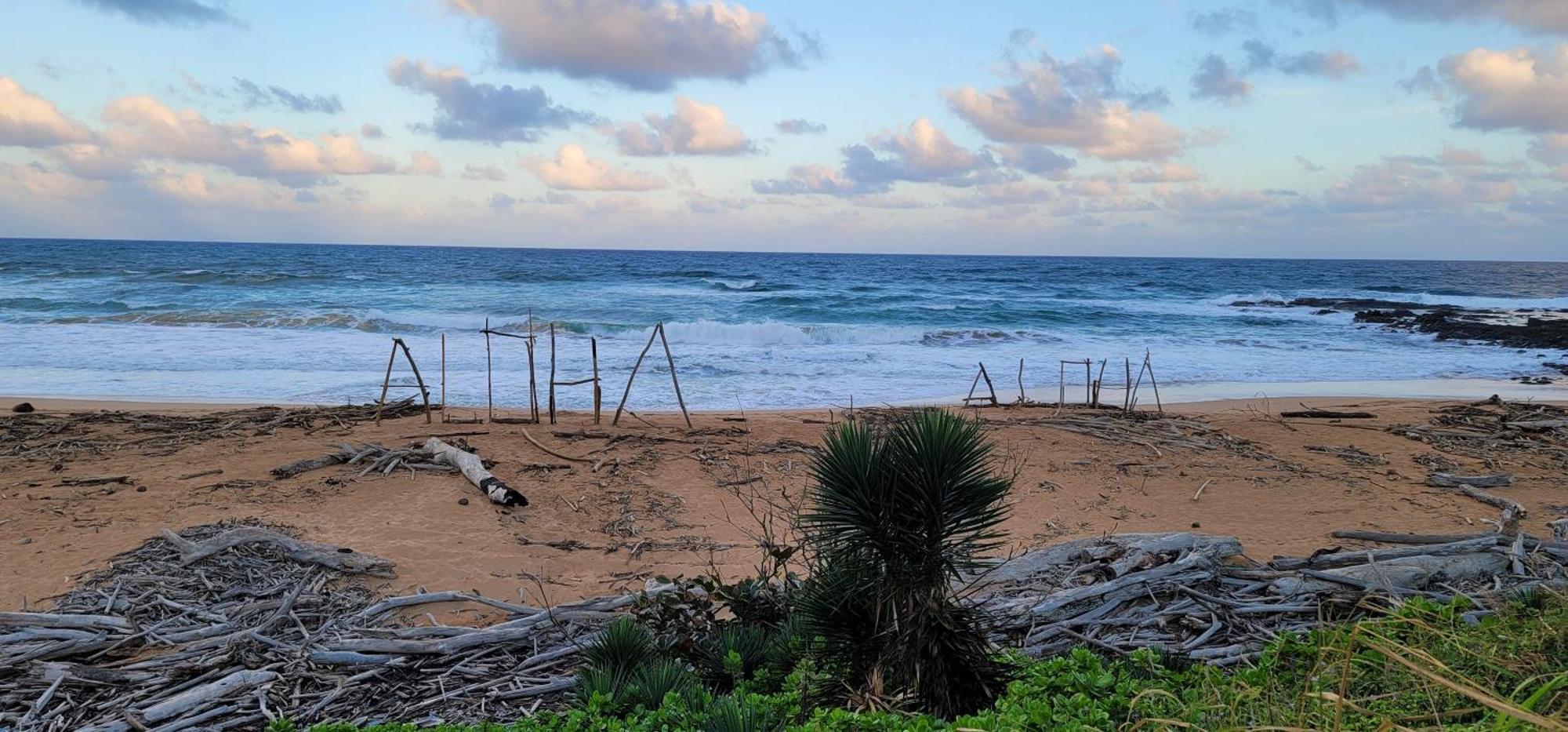 OceanFront Kauai - Harmony Villa Kapa'a Bagian luar foto